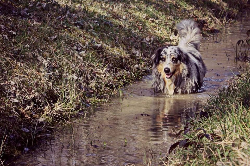 Publication : Butterfly Colors