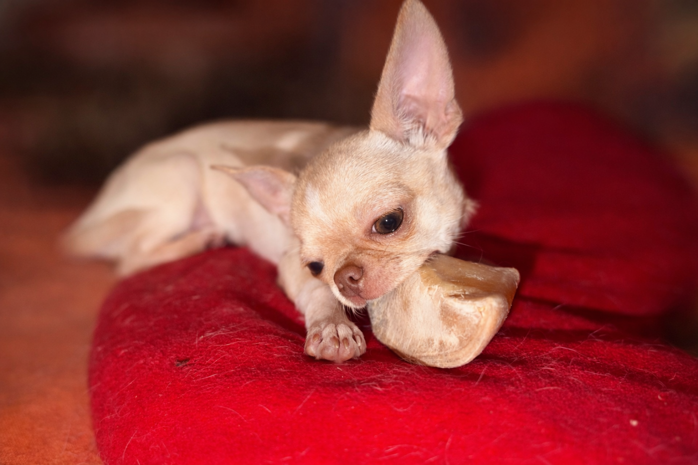 Voxel Ux Ambre céleste