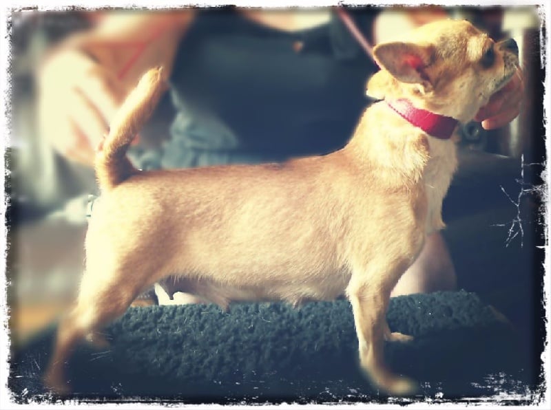 Hurry up of Angel Village