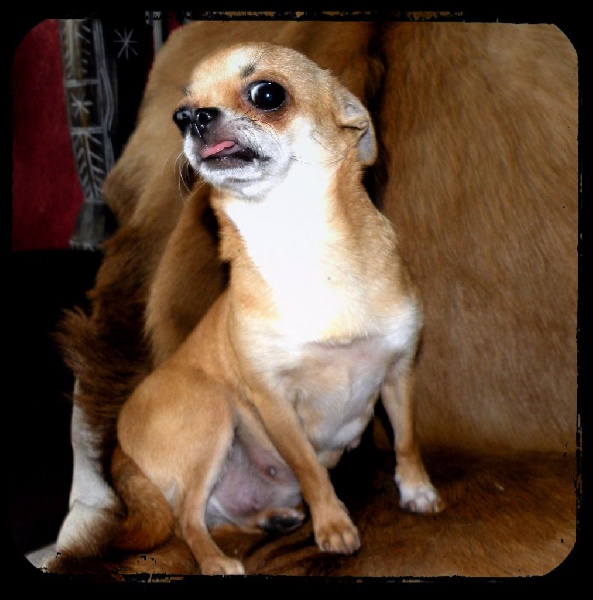 Hurry up of Angel Village