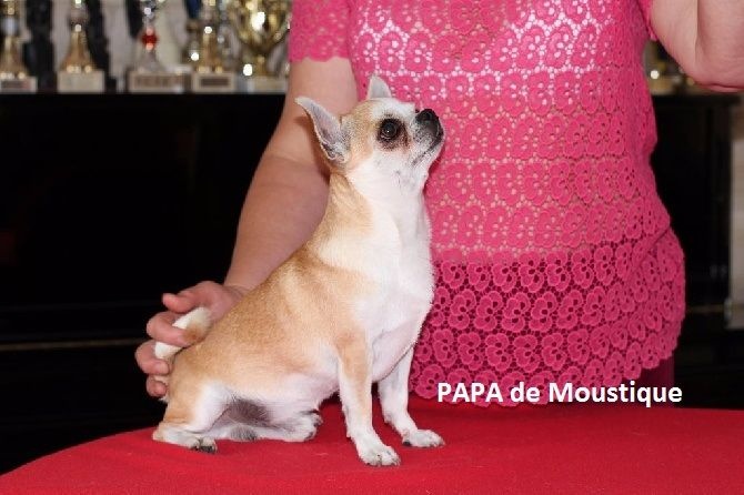 Publication : Des Folie's Louise De Vances Auteur : KLG