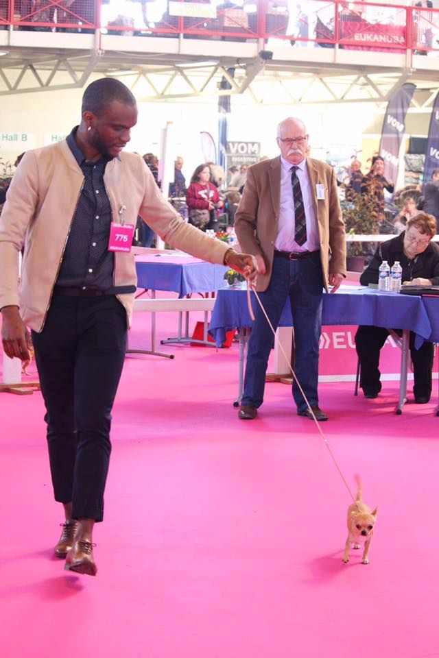 Moustique Des Barons De Maule - Prometteur en baby