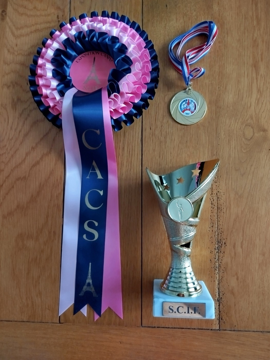 Volga De beaudribos - 1er EXC CACS Meilleur de Race et Fini 3éme du groupe 7