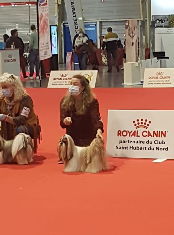 Samantha-saï Violetta Perline - 4° Ecxellent / 6 (Classe Ouverte)