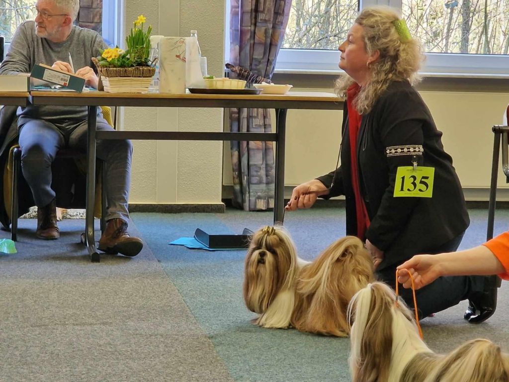 Samantha-saï Violetta Perline - 1 Excellent - CAC ( VDH)