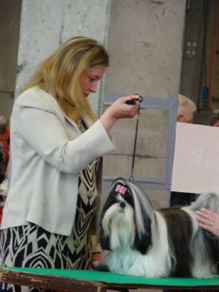 Leeloo des Amours De Shakya - 3° EXCELLENT (CLASSE OUVERTE)