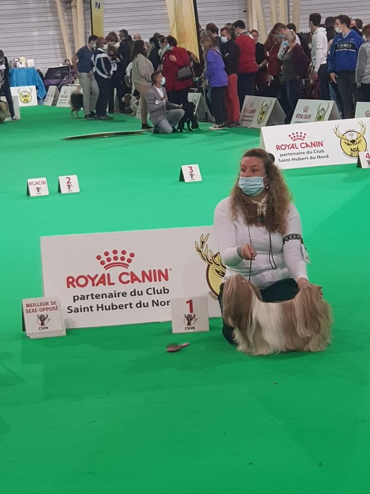 Samantha-saï Violetta Perline - 3°Excellent / 6 (Classe Ouverte)