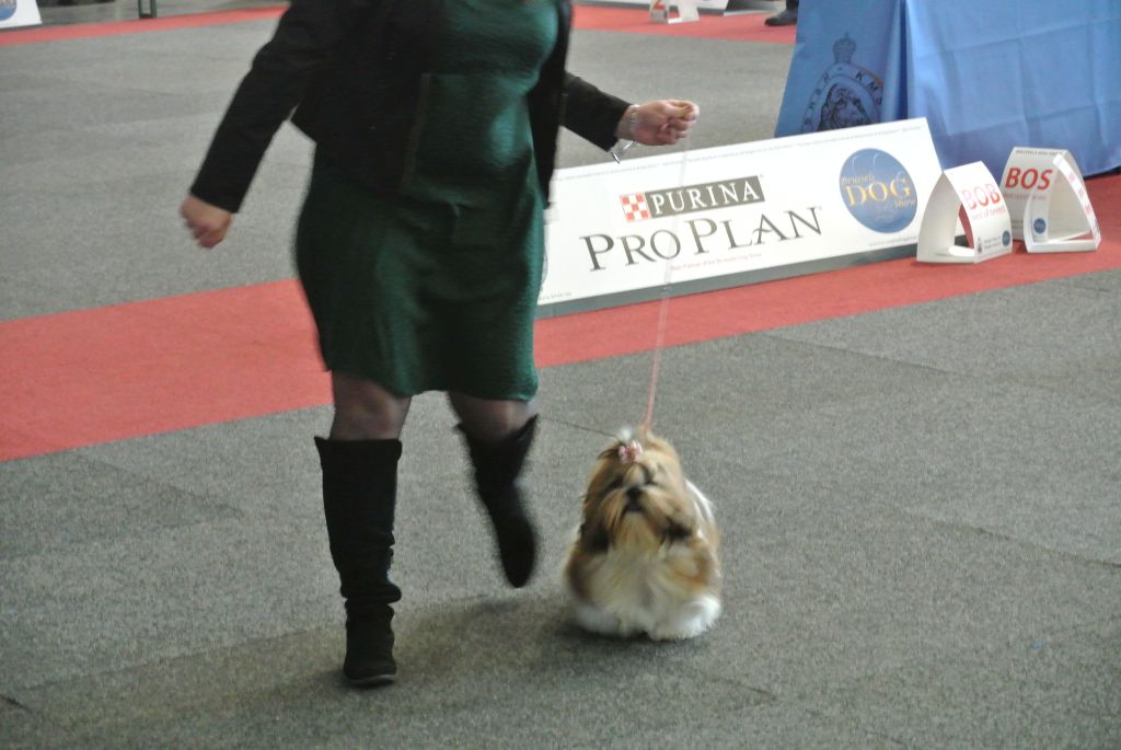 Samantha-saï Violetta Perline - 2° TB / 5 ( Classe Jeune)