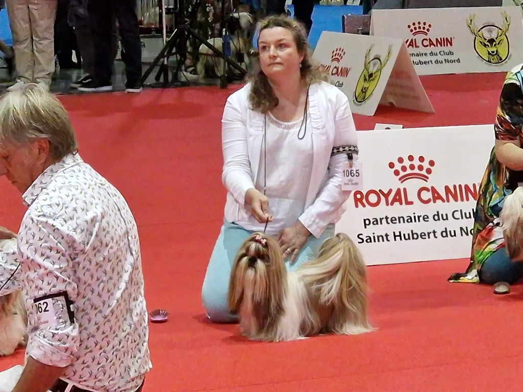 Samantha-saï Violetta Perline - 2°EXCELLENT (Classe Ouverte )