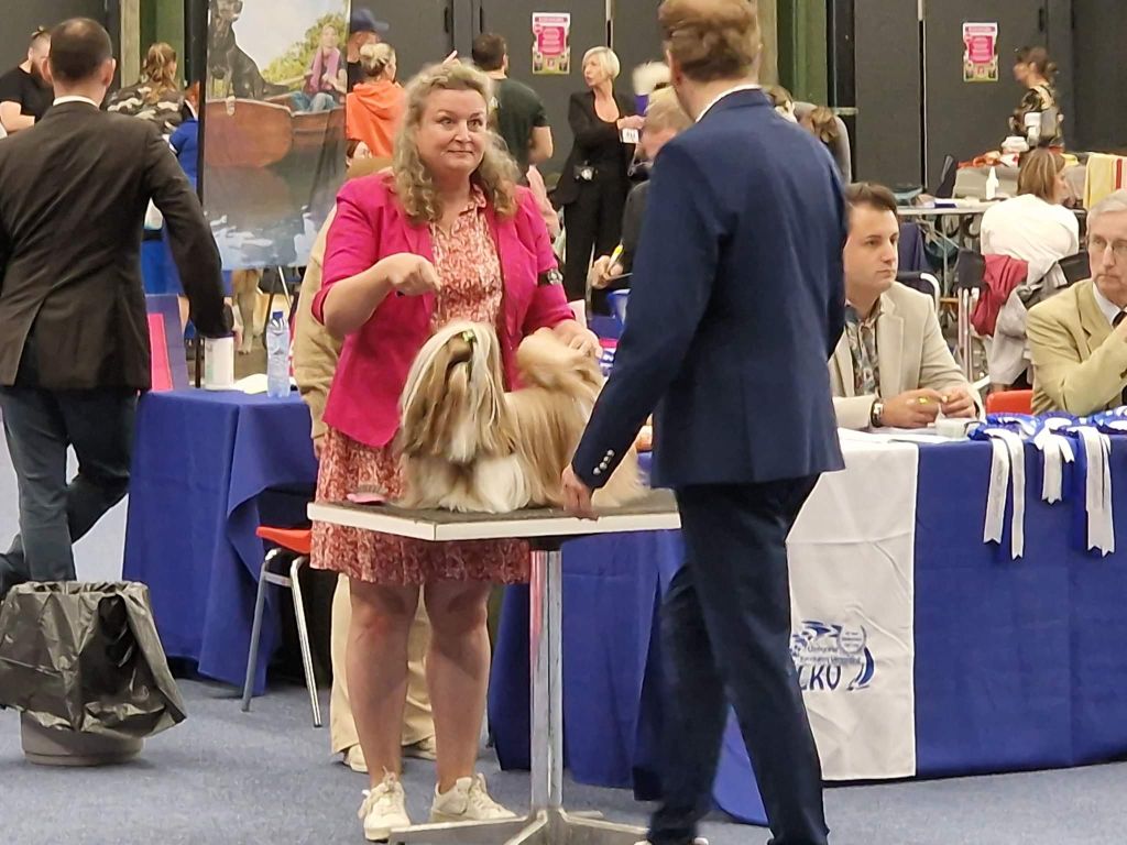 Samantha-saï Violetta Perline - 1° EXCELLENT - RCAC - RCACIB (Classe ouverte)