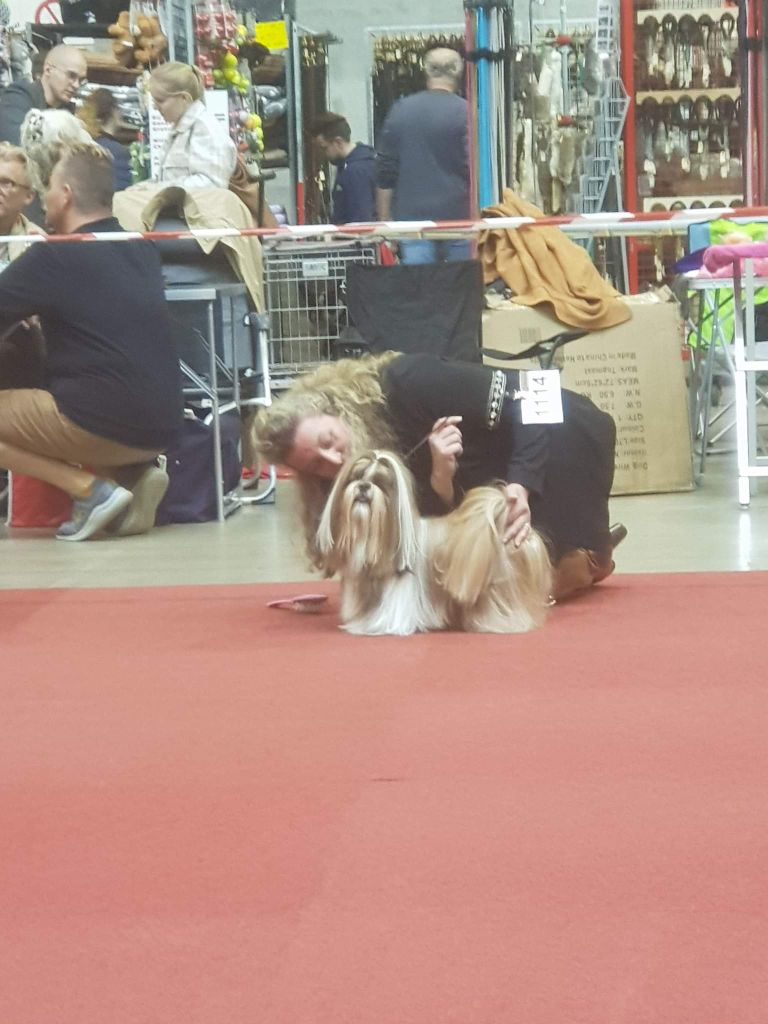 Samantha-saï Violetta Perline - 2°EXCELLENT (Classe Ouverte )