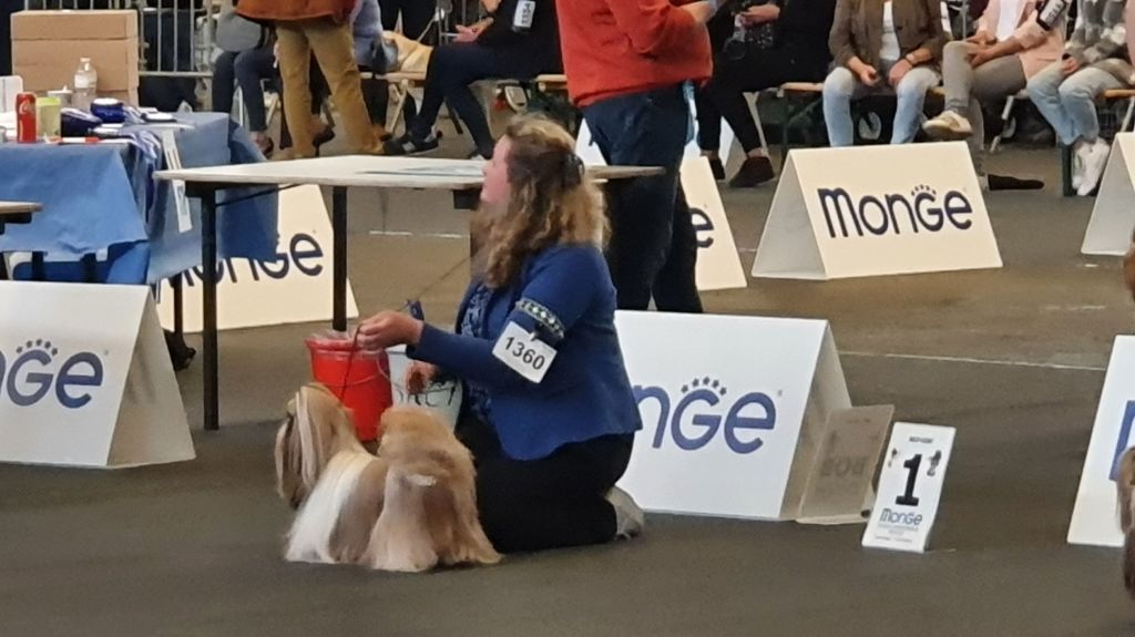 Samantha-saï Violetta Perline - 4° Ecxellent (Classe Ouverte)