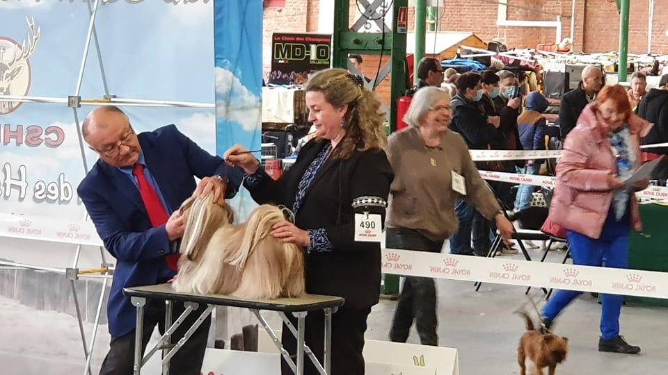 Samantha-saï Violetta Perline - 1°Excellent - RCAC (classe ouverte)