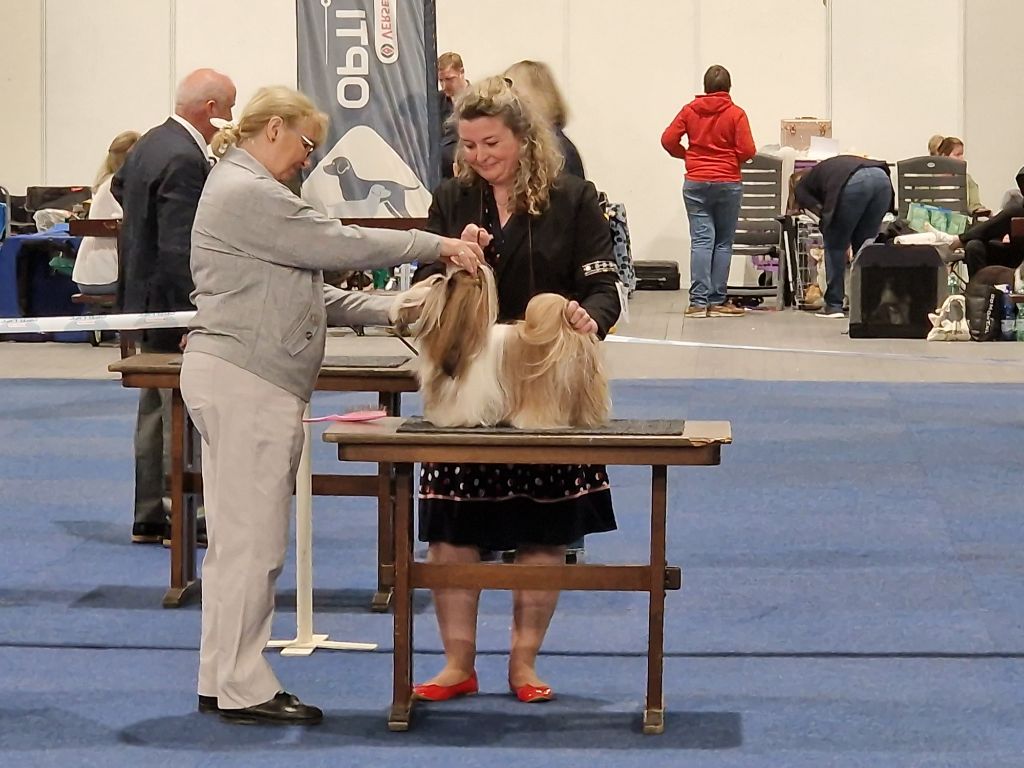 Samantha-saï Violetta Perline - 1°Excellent - RCAC (classe ouverte)