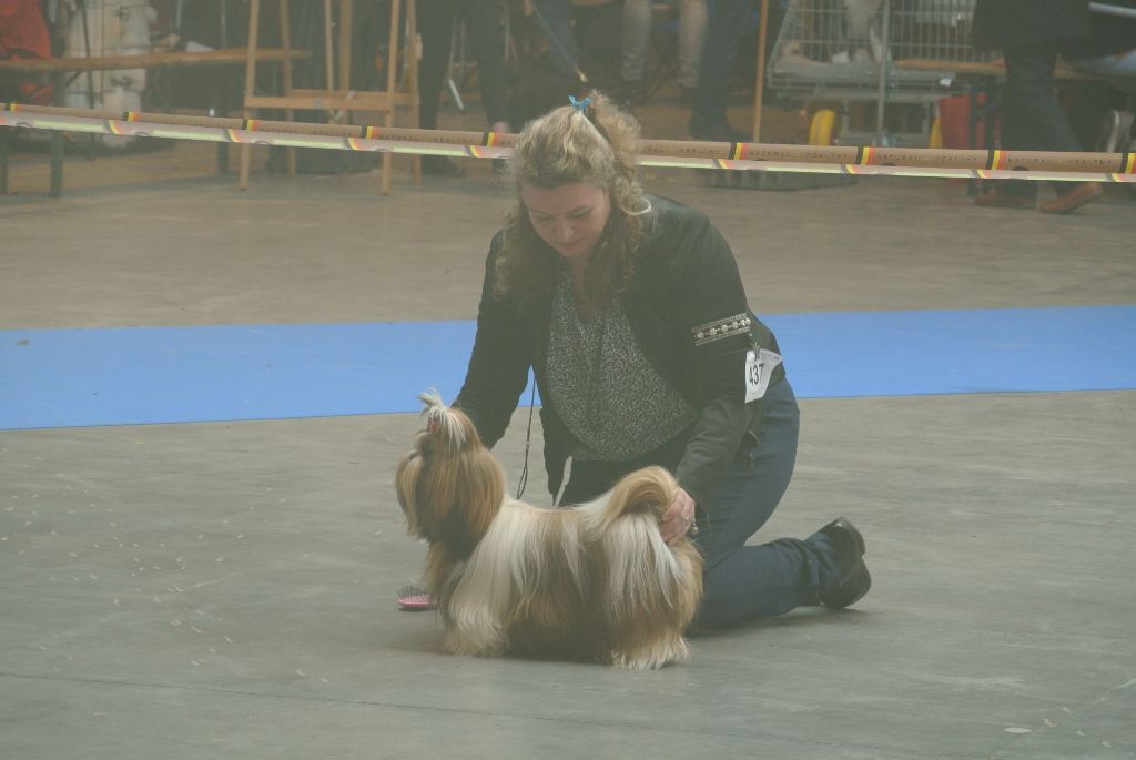 Samantha-saï Violetta Perline - 2° Excellent / 3 ( Classe Jeune)