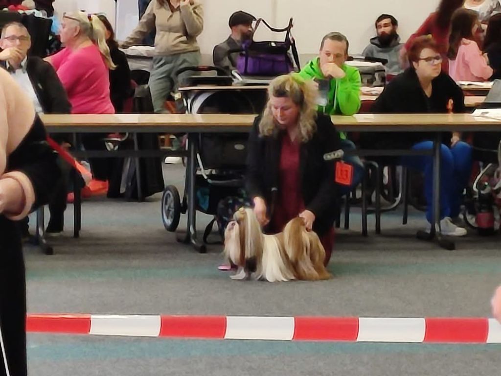 Samantha-saï Violetta Perline - 1 Excellent - CAC ( VDH )