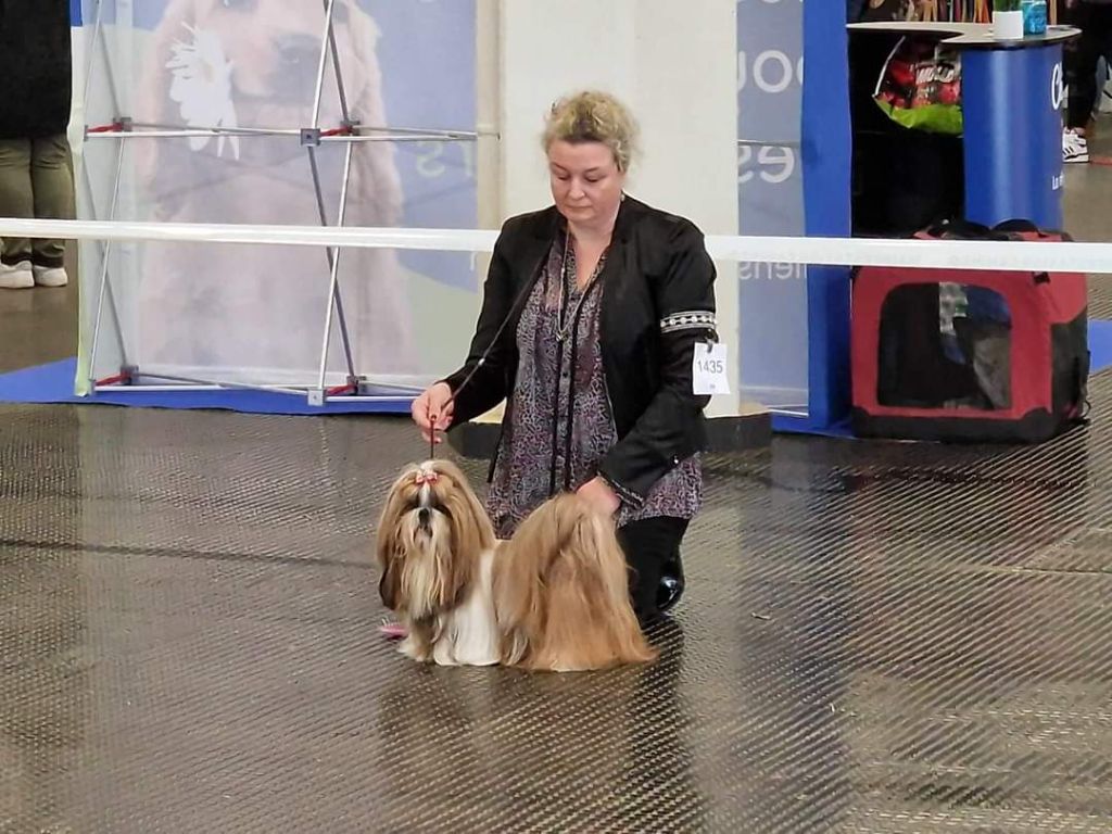 Samantha-saï Violetta Perline - 3 EXCELLENT (Classe ouverte)