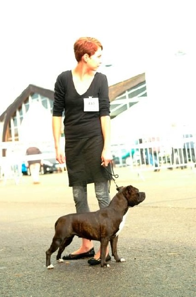 Hava Des tempêtes du pays breton - 3ème EXC