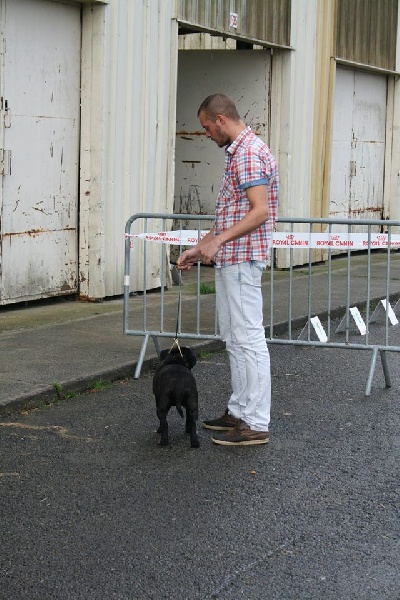 Imppy (Sans Affixe) - 4ème TB