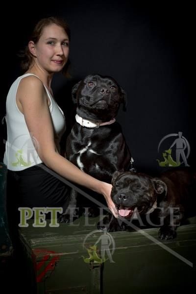 Imppy (Sans Affixe) - Excellent, Non Classé