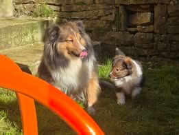 Abracadabra magia du Fief Des Petits Crunchis