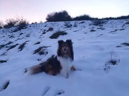 Tao du Fief Des Petits Crunchis