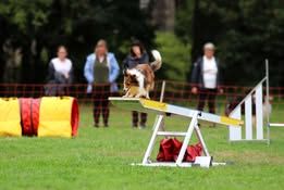 VaÏna du Fief Des Petits Crunchis