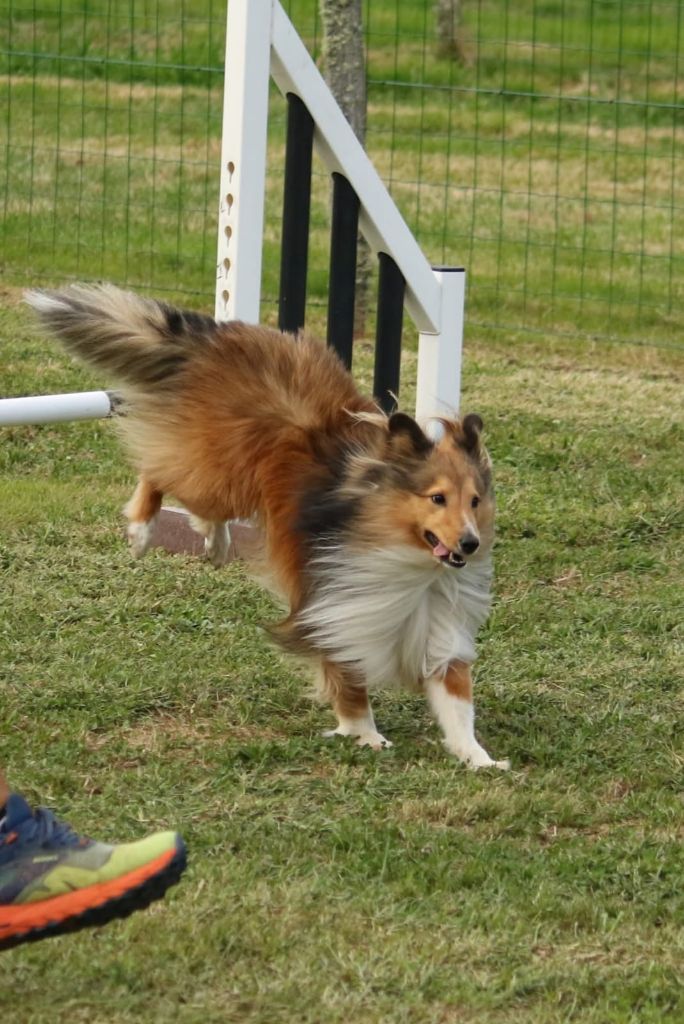 U re like a king du Fief Des Petits Crunchis