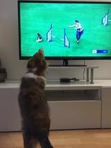 Pepsi du Fief Des Petits Crunchis