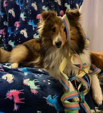 Pepsi du Fief Des Petits Crunchis