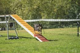 U my love du Fief Des Petits Crunchis