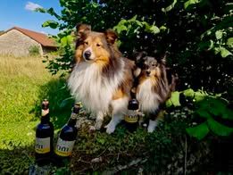 Pepsi du Fief Des Petits Crunchis