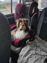 I'm too fast for you du Fief Des Petits Crunchis