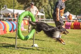 U my love du Fief Des Petits Crunchis