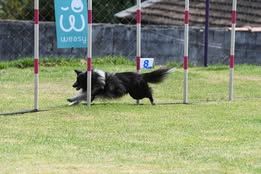 Super eager du Fief Des Petits Crunchis