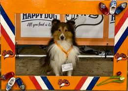 Pepsi du Fief Des Petits Crunchis