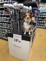 Veni vidi amavi du Fief Des Petits Crunchis