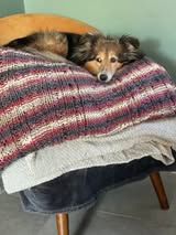 Psy k'ose d'athis du Fief Des Petits Crunchis