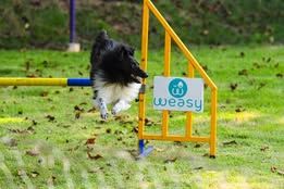 Super eager du Fief Des Petits Crunchis