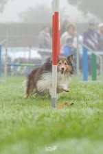 Pepsi du Fief Des Petits Crunchis