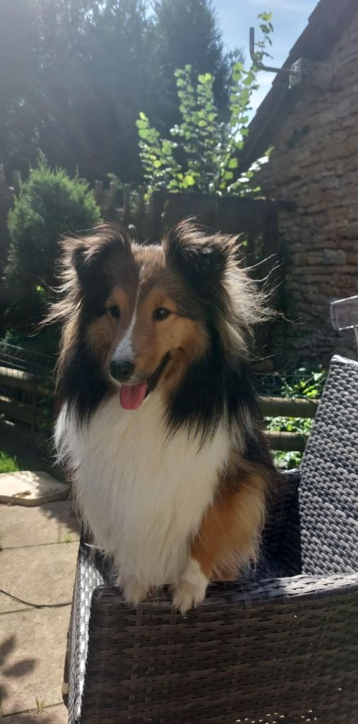 Glamour barbie girl ululallaluna