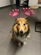 U take it easy du Fief Des Petits Crunchis