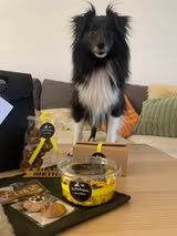 Top gun maverick du Fief Des Petits Crunchis