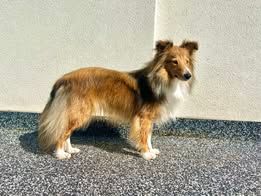 U take it easy du Fief Des Petits Crunchis