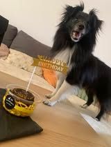 Top gun maverick du Fief Des Petits Crunchis