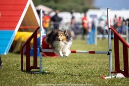 Pepsi du Fief Des Petits Crunchis