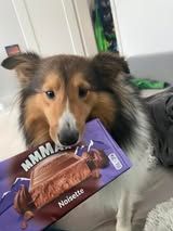 Pepsi du Fief Des Petits Crunchis