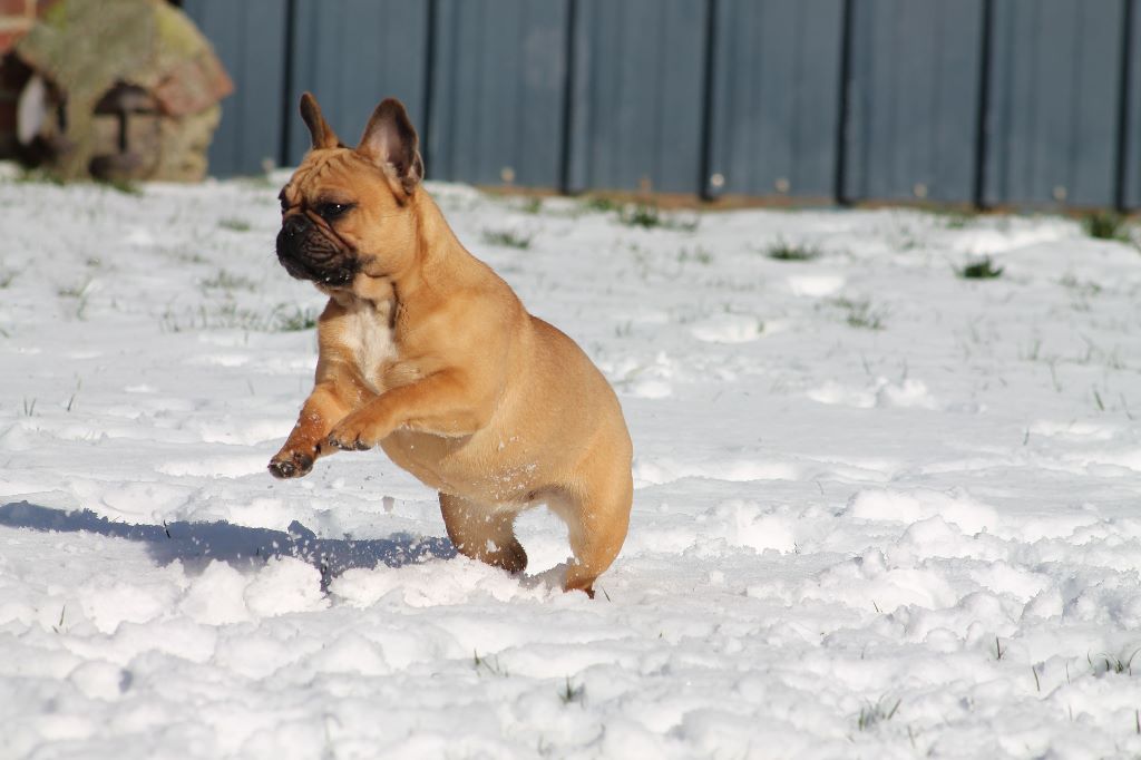 Publication : Des Terres D'Hades Auteur : taeckens justine