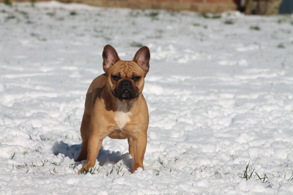 Publication : Des Terres D'Hades Auteur : taeckens justine