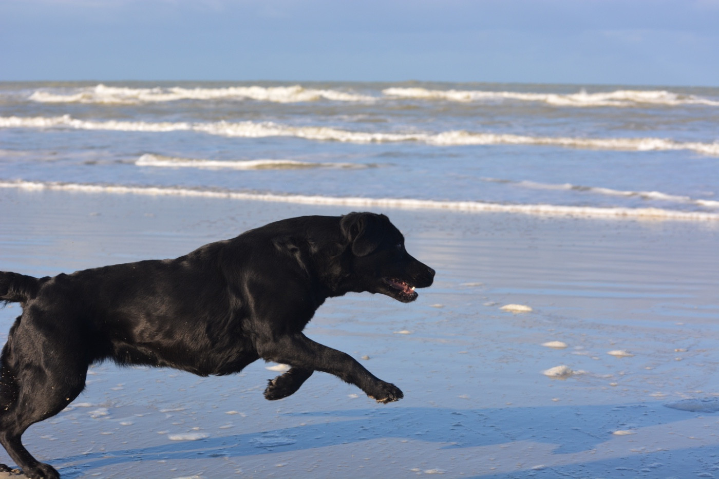 Publication : Des feux d'or